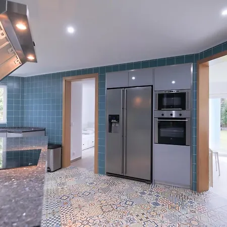 Begonias 沙尔内卡