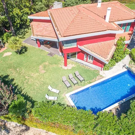 Begonias Villa *