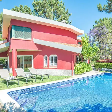 Begonias Villa