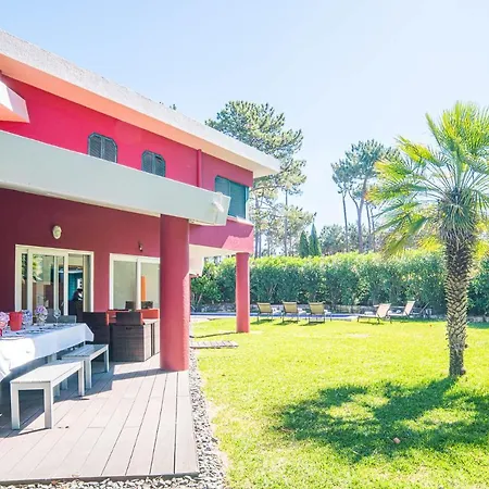 Begonias 沙尔内卡