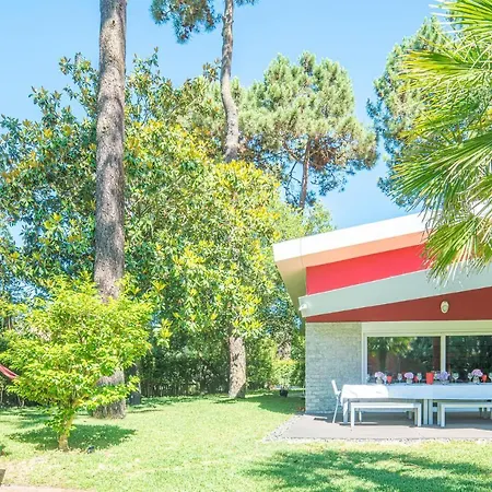 Begonias Villa *