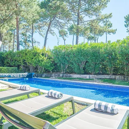 Begonias * 沙尔内卡