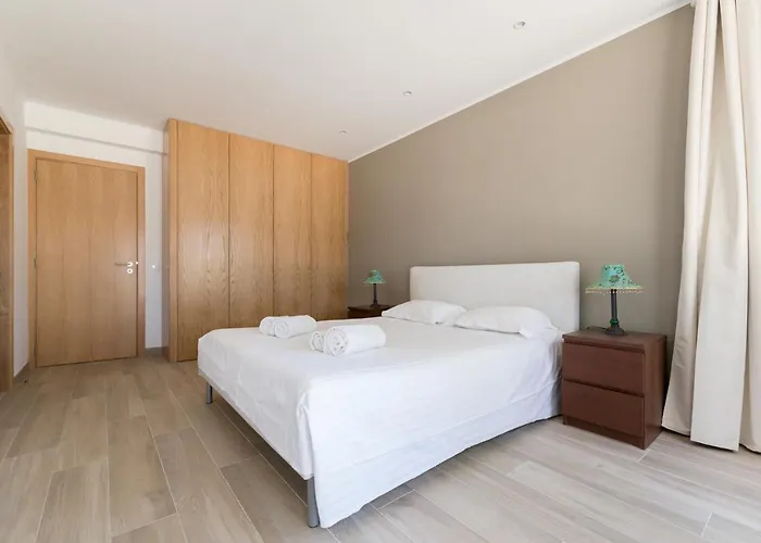 Begonias 沙尔内卡