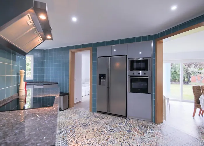 Begonias 沙尔内卡