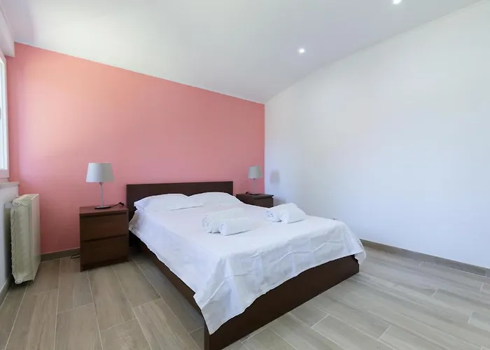 Begonias 沙尔内卡