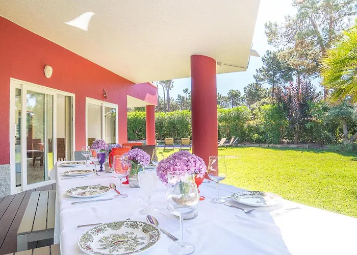 Begonias 沙尔内卡