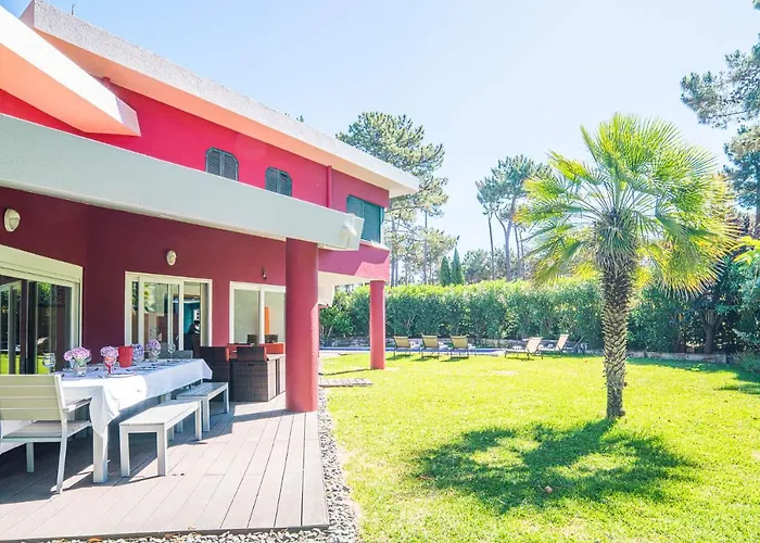 Begonias 沙尔内卡