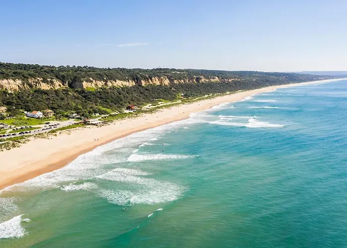 别墅 Begonias 沙尔内卡