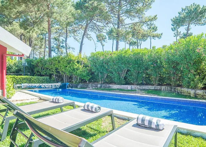 Begonias * 沙尔内卡