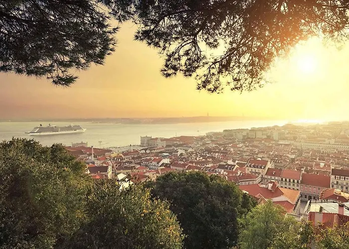 Begonias 沙尔内卡