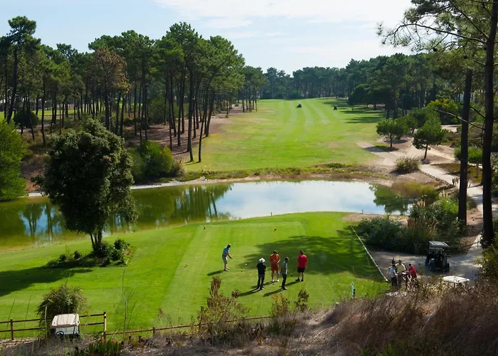 别墅 Begonias 沙尔内卡